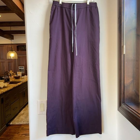 Urban Outfitters Deep Purple Pull On Utility Pant Women's Sz M Heritage Gorpcore - Picture 1 of 13